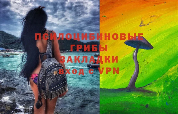 ПСИЛОЦИБИНОВЫЕ ГРИБЫ Алексин