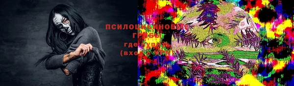МДПВ Алексеевка