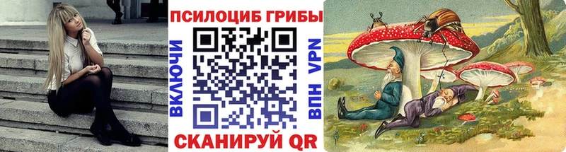 мориарти как зайти  Славск  Псилоцибиновые грибы ЛСД  KRAKEN сайт 